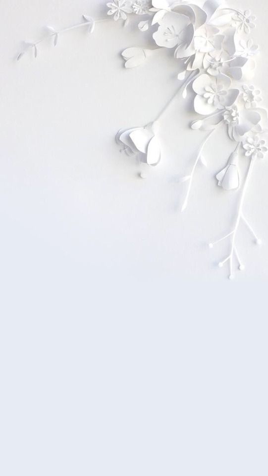 white flowers are floating in the air on a gray background