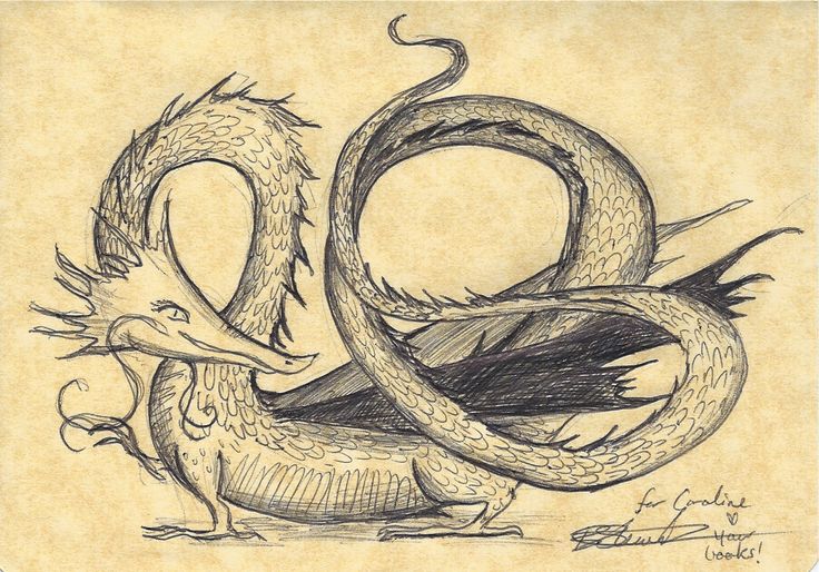 a drawing of two dragon sitting next to each other