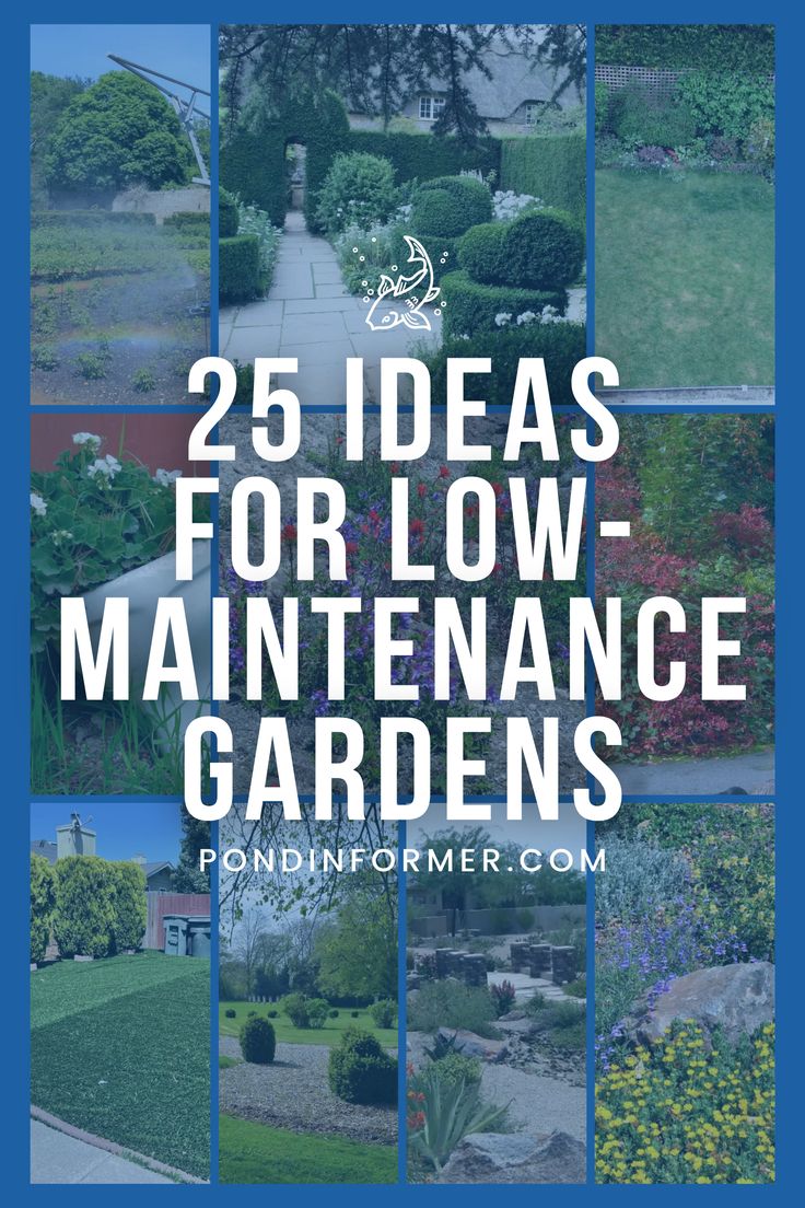 the cover of 25 ideas for low maintenance gardens