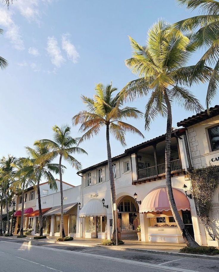 palm trees line the street in front of an apartment building with shops on each side