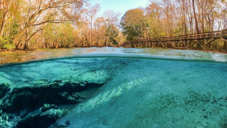 Florida State Parks