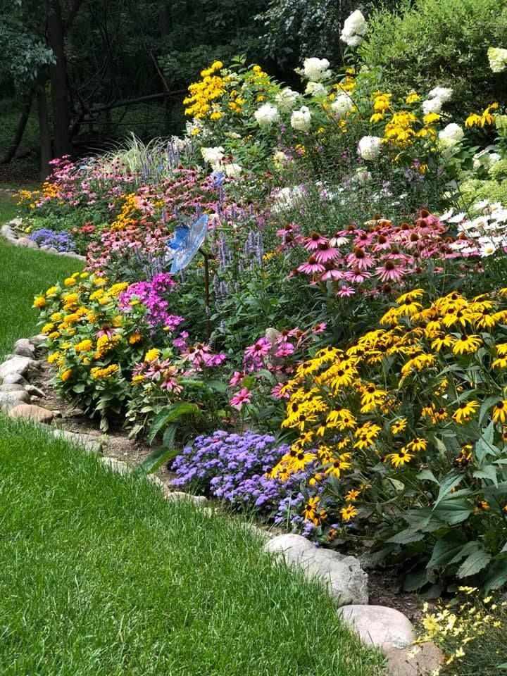 a garden filled with lots of colorful flowers