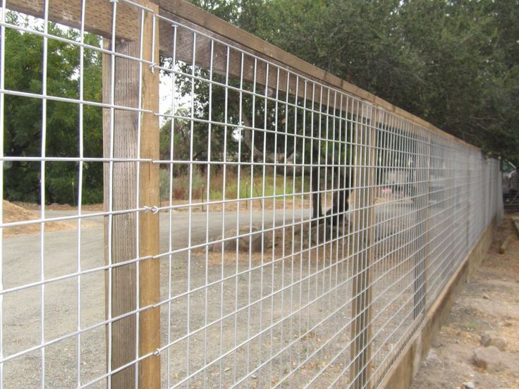 the fence is made of metal wire and has wood posts on each side, along with gravel