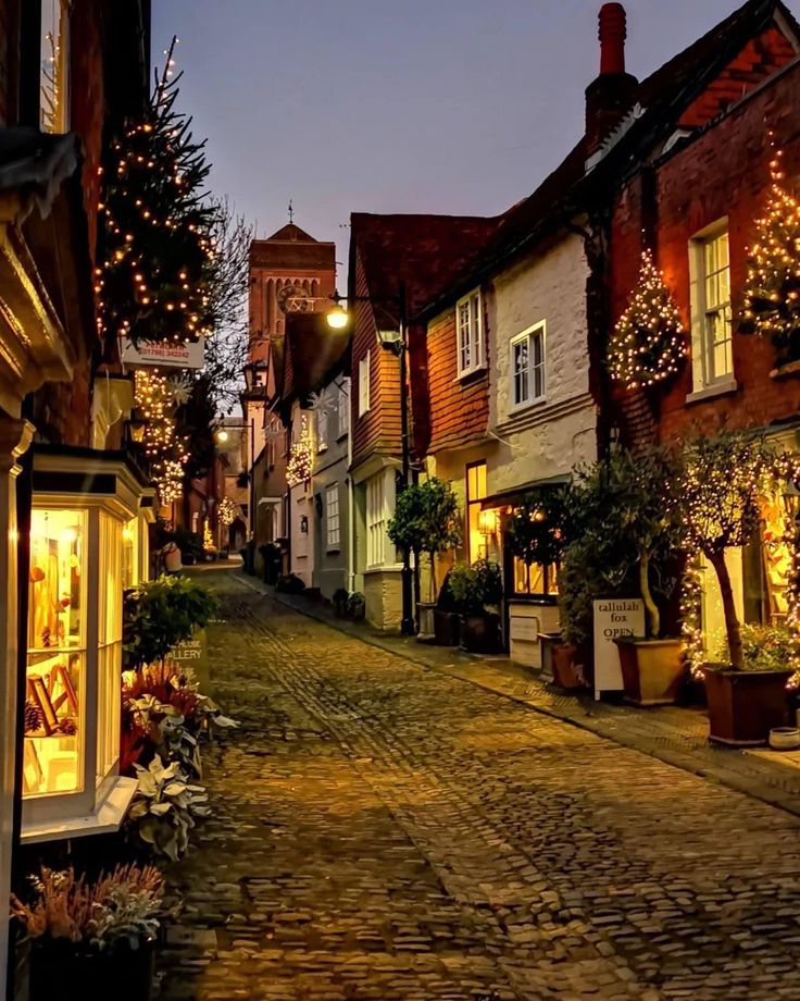 a cobblestone street is lit up with christmas lights and decorated houses in the background