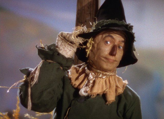 a scarecrow with a black hat and green shirt holding a wooden pole in front of his face