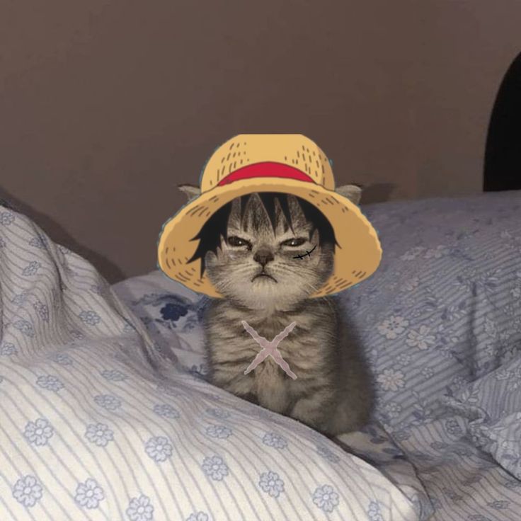 a cat wearing a straw hat sitting on top of a bed