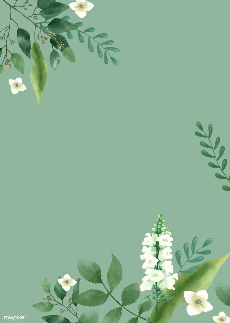 a green background with white flowers and leaves