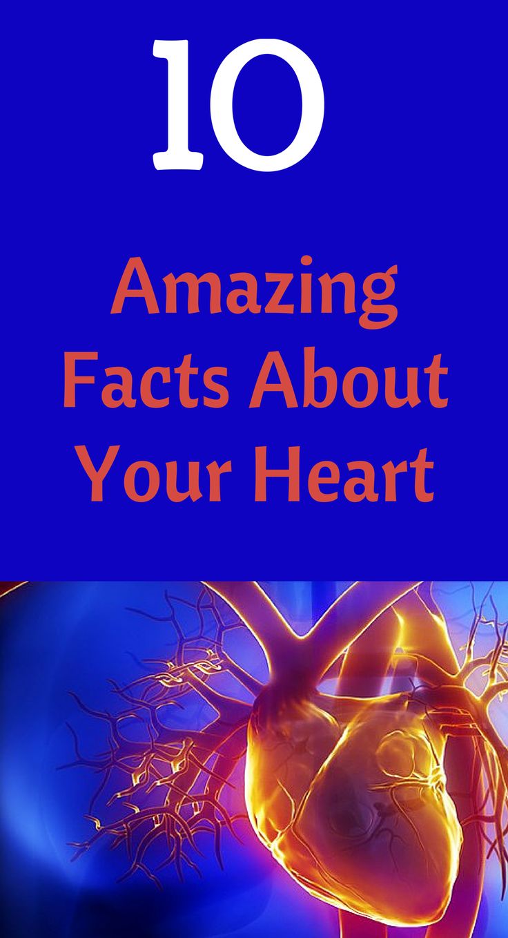 Amazing Facts About Your Heart:  7. Your activity level is the greatest potential risk factor for heart disease. Heart Facts, Heart Health Awareness, 10 Amazing Facts, Heart Health Month, American Heart Month, Heart Month, Senior Activities, Healthy Body Weight, Senior Health