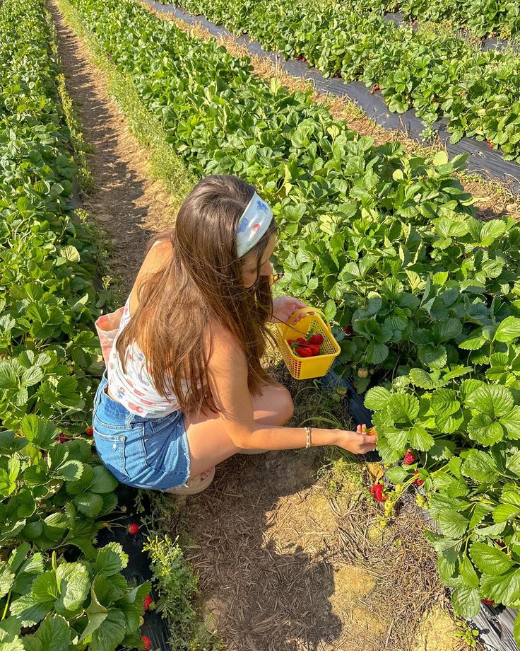 Living the life of Strawberry Shortcake!🍓🌸🌞🍰 #springflowers #springoutfits #flowerfield #strawberries #flowerfestival #strawberrypicking Cherry Picking Outfit Summer, Strawberry Field Photoshoot, Cherry Picking Outfit, Strawberry Fields Aesthetic, Strawberry Picking Pictures, Strawberry Picking Outfit, Strawberry Shortcake Aesthetic, Picking Strawberries, Strawberry Aesthetic