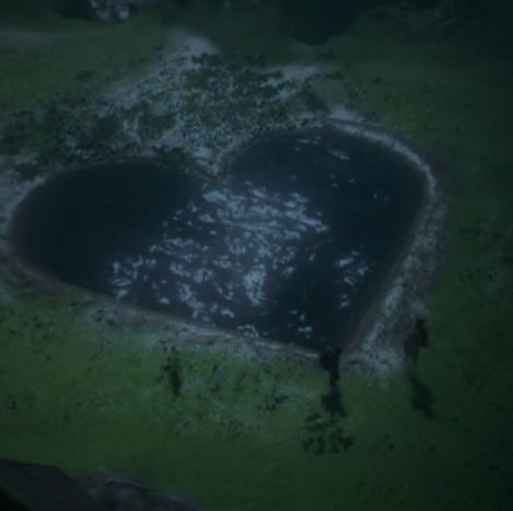 an aerial view of a heart shaped lake in the middle of a grassy area with people standing around it