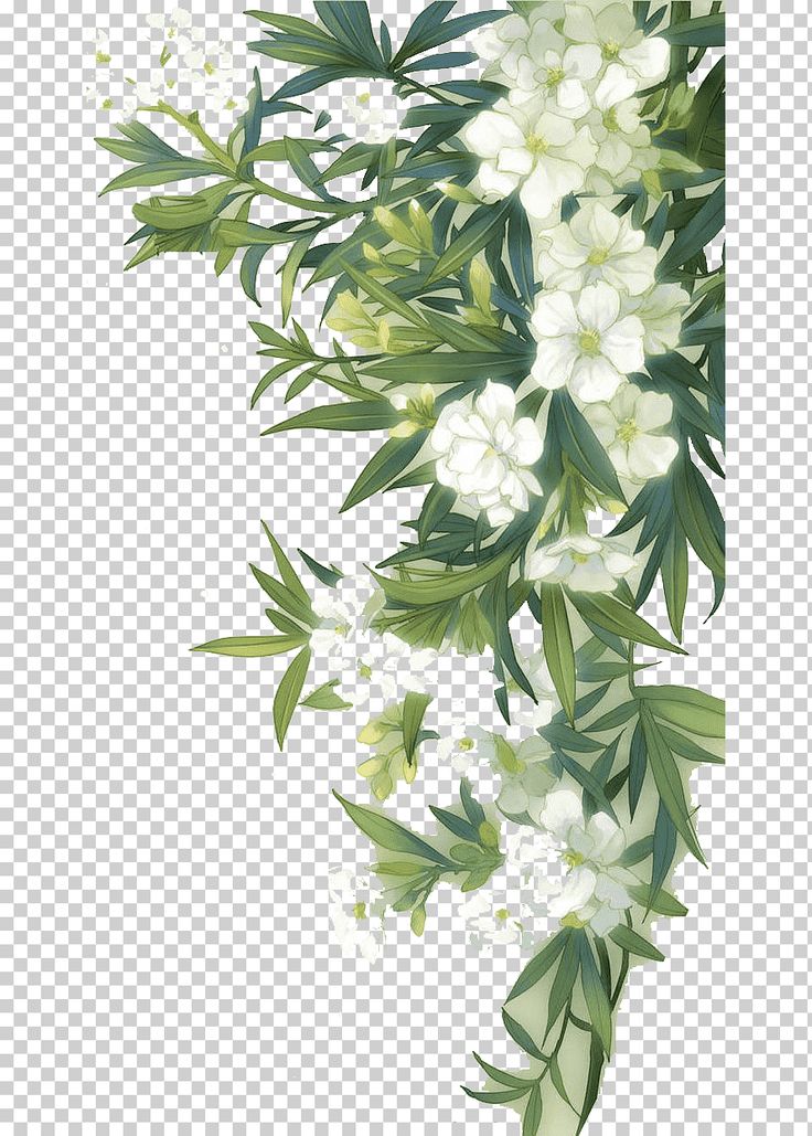 white flowers and green leaves on a transparent background, hd png clipart free