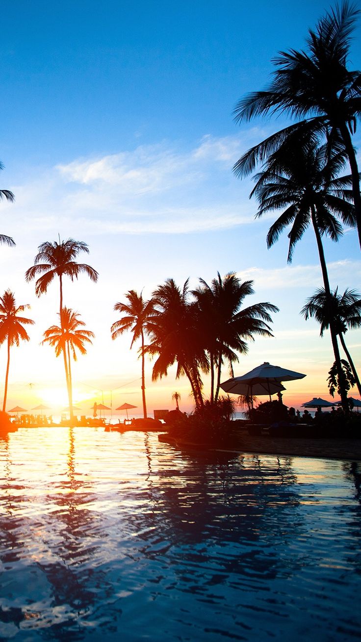 the sun is setting behind some palm trees near a swimming pool with lounge chairs and umbrellas