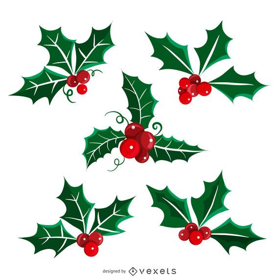 christmas holly leaves and berries with red berries on white background, set of four images