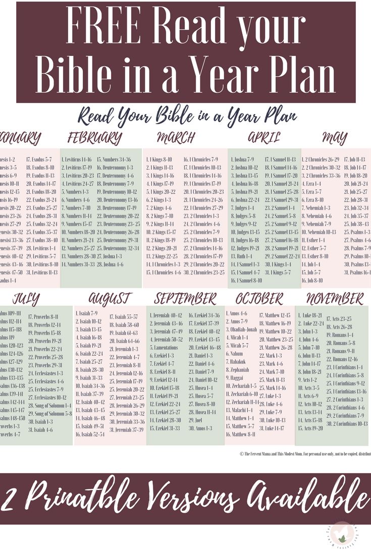 a printable bible planner with the text free read your bible in a year plan