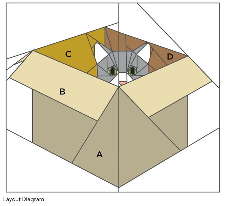 an open box with a cat in it and the letters c, b, d