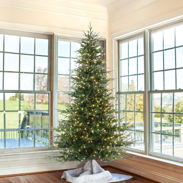 a small christmas tree in a room with windows