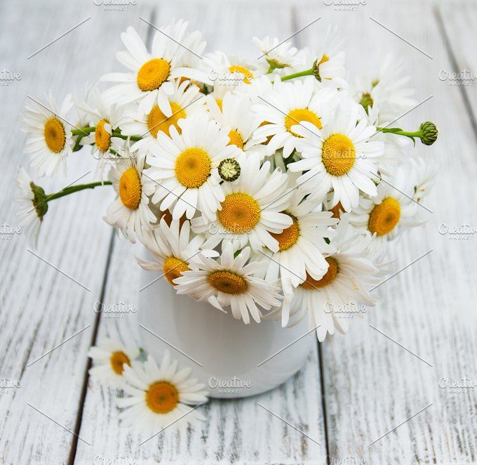 white daisies in a vase on a wooden table