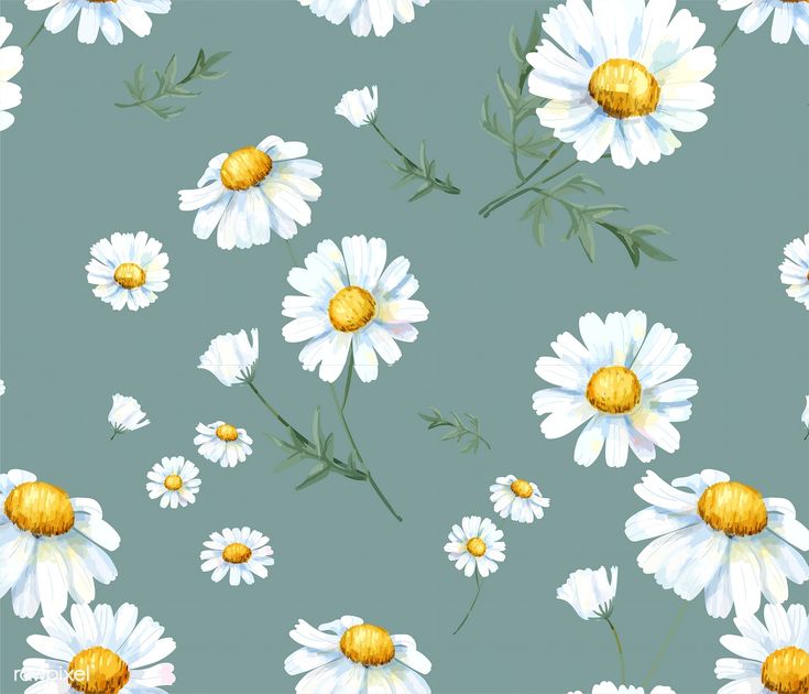 white daisies and yellow centers on a blue background