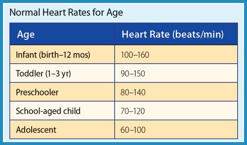 Heart Rate Chart By Age And Gender