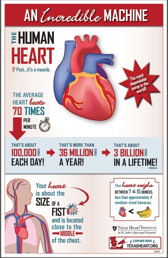 the human heart is shown in this diagram, with instructions on how to use it