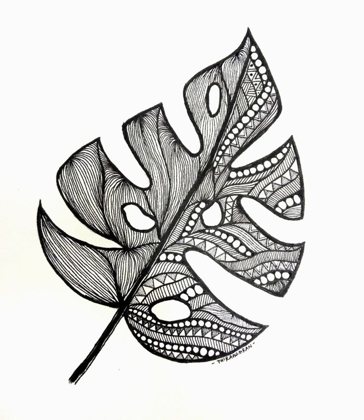 a black and white drawing of a leaf