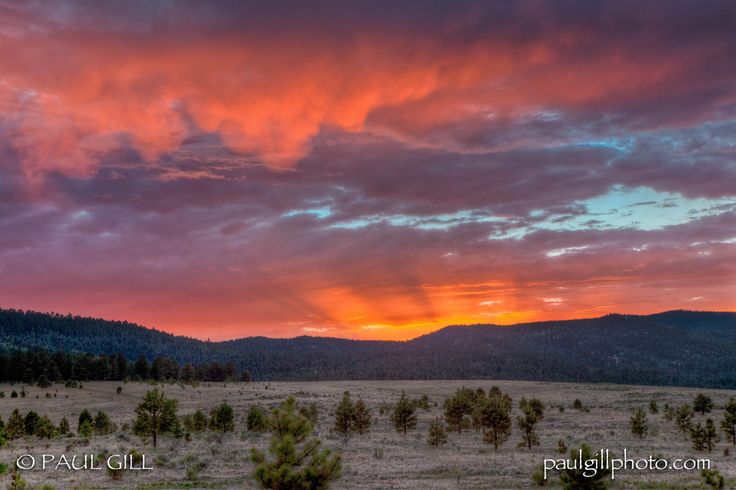 the sun is setting over some trees in an open field with mountains in the background