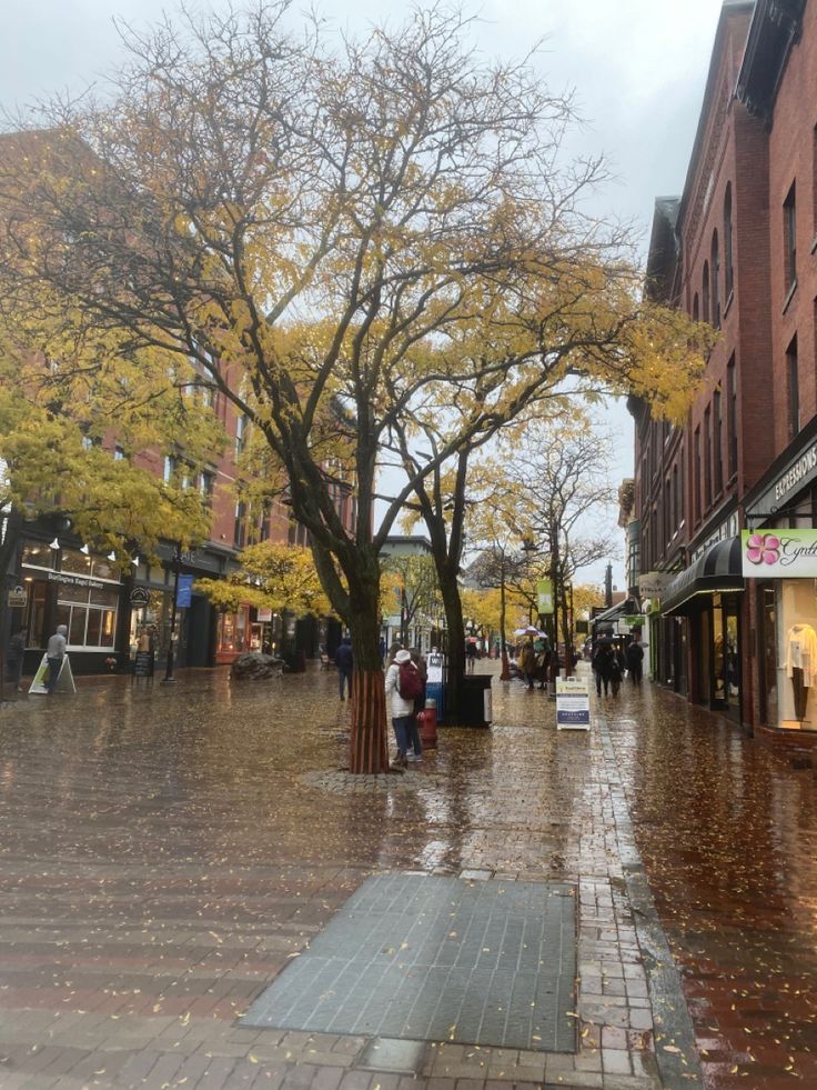 people are walking down the street in the rain with umbrellas and trees on either side