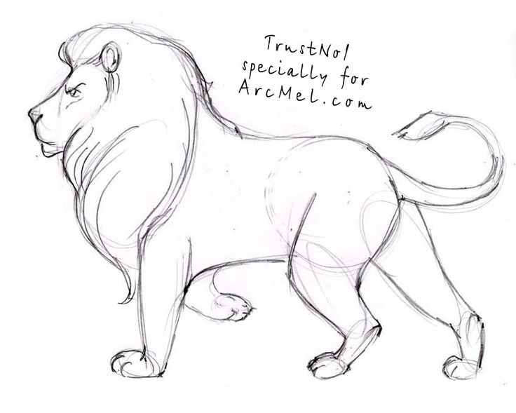 a drawing of a lion standing on one leg