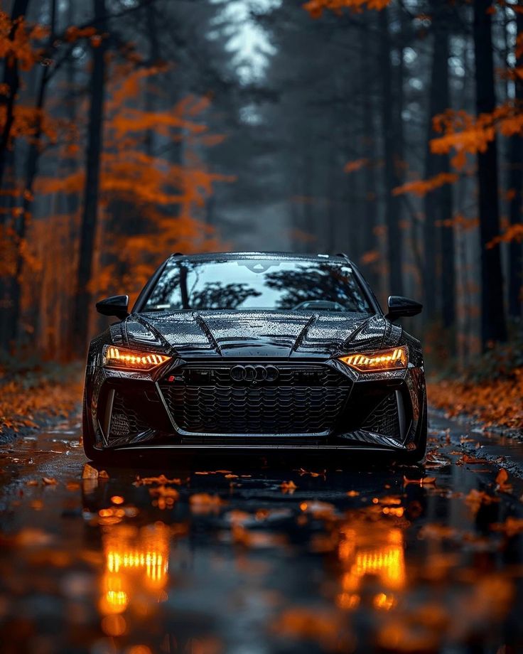 Audi RS 6 Avant (C8)