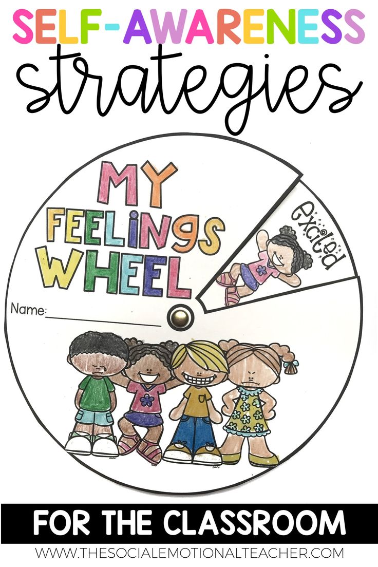 a wheel with the words self - awareness, feelings and feelings written on it in different colors