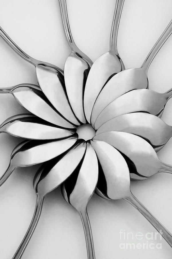 a black and white photo of a flower in the center of a circular design on a wall