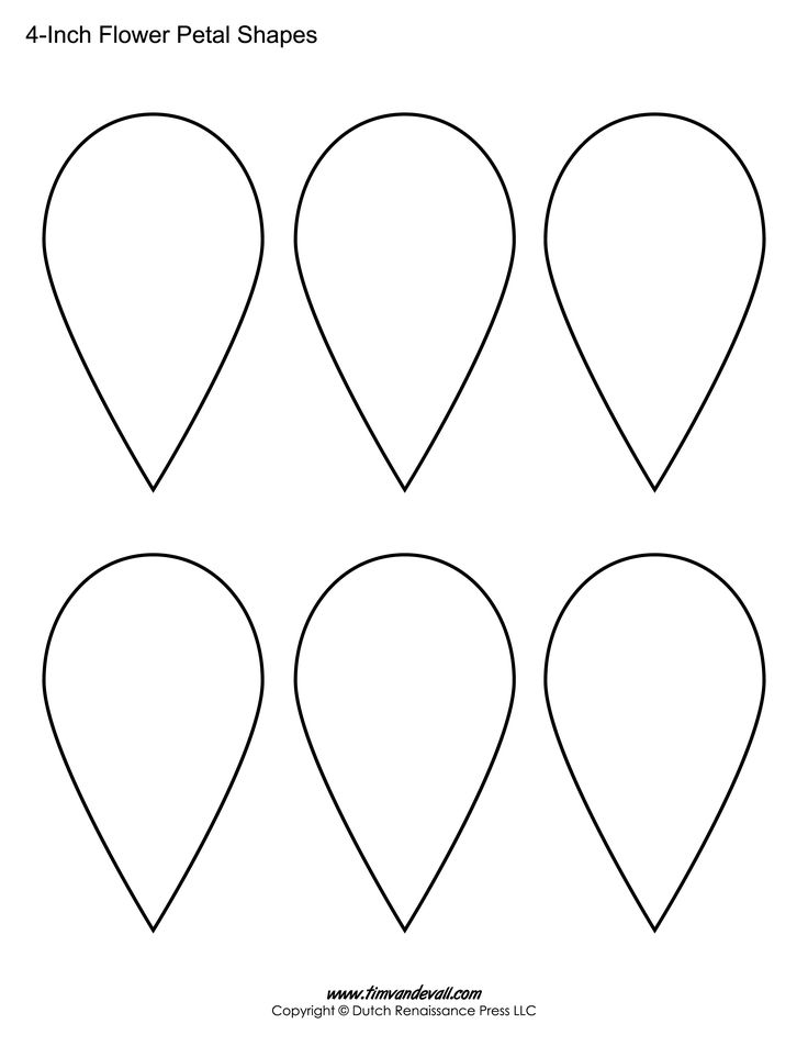 four different shapes for each flower petal shape