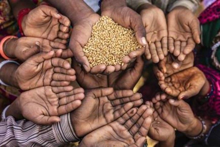 many people are holding their hands together to show off some grain