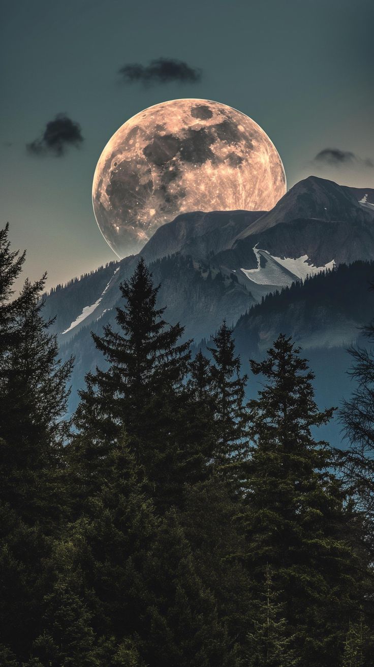 the full moon is seen over some trees in front of a mountain with snow on it