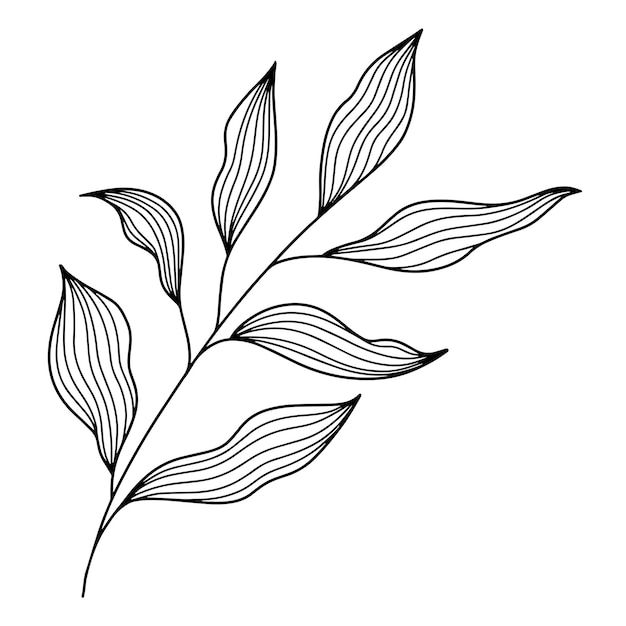 a black and white drawing of a leaf