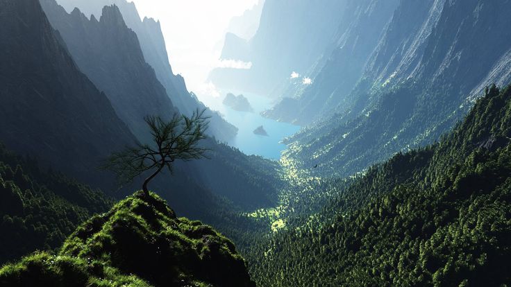 a lone tree on the edge of a cliff overlooking a valley with mountains in the background