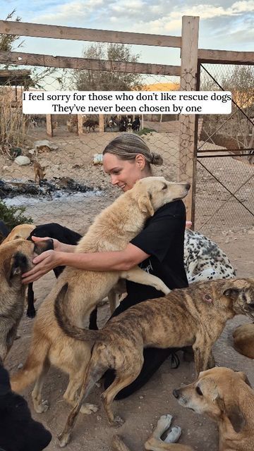 a woman sitting on the ground with several dogs in front of her and an inscription that reads, i feel sorry for those who don't like rescue dogs