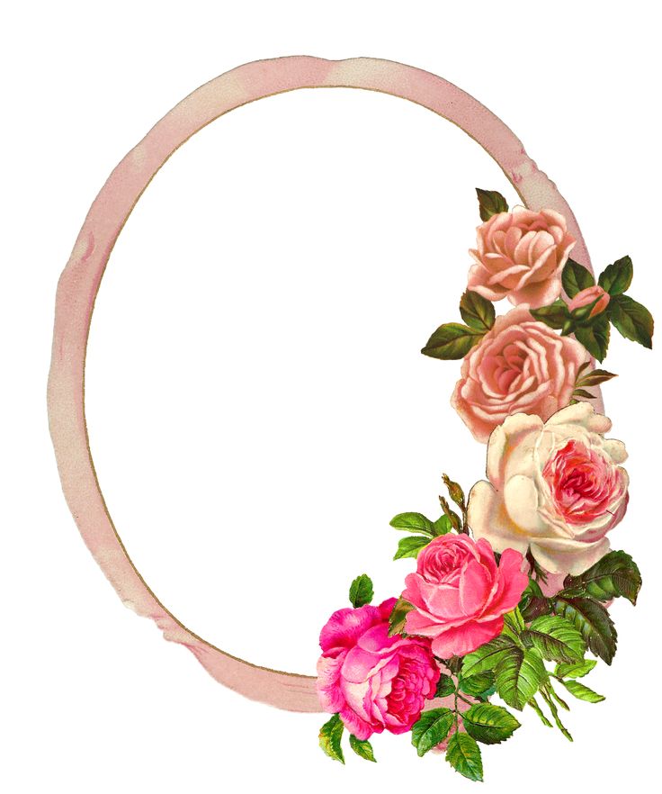 a watercolor painting of pink and white roses in a circular frame with green leaves