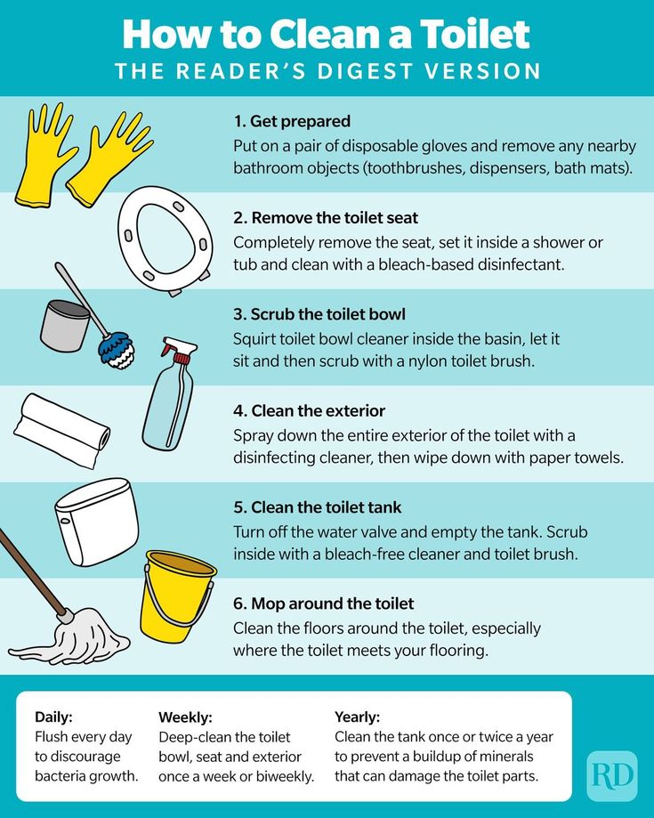 how to clean a toilet the reader's biggest version infographical poster with instructions