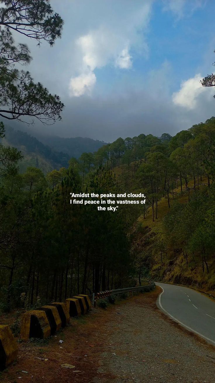 an empty road in the middle of a forest with a quote written on it that reads,