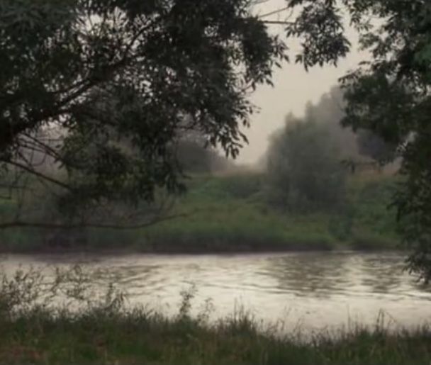 an elephant is standing in the grass next to a body of water with trees around it