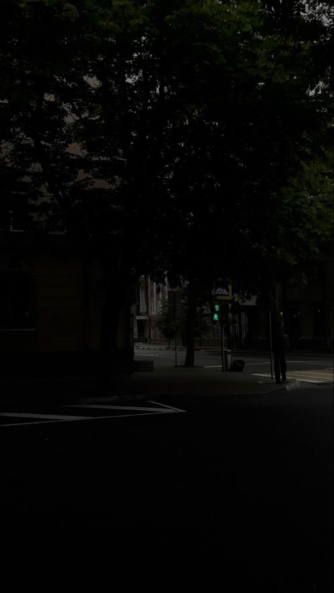 an empty street at night with the light turned on and trees in the foreground