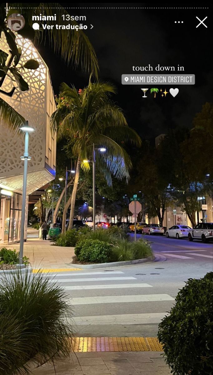 an image of a street at night with palm trees in the foreground and lights on