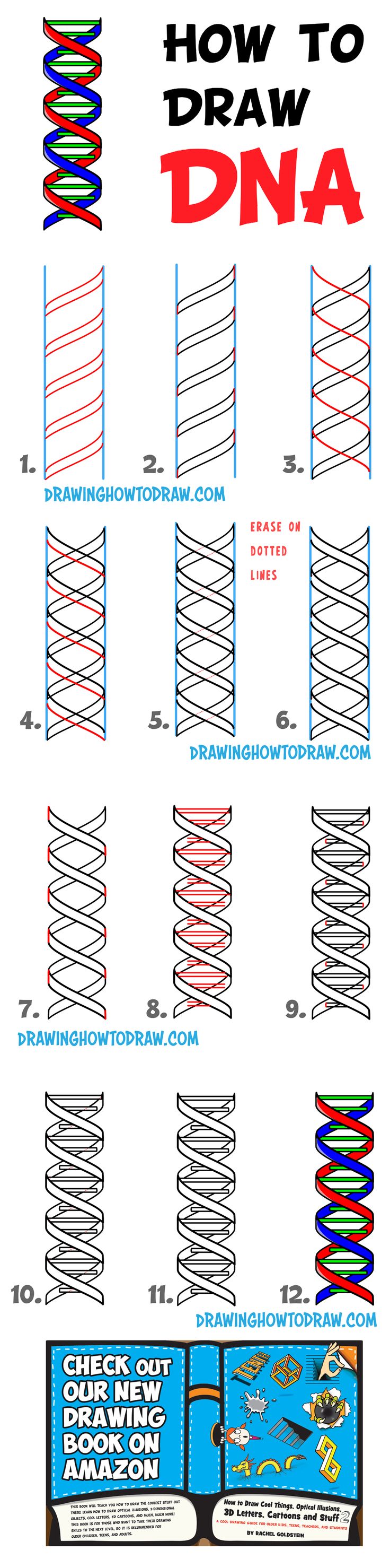 How to Draw DNA Double Helix Structure Step by Step Drawing Tutorial ...