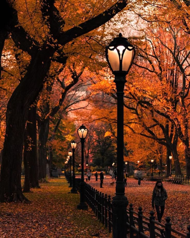 a street light sitting on the side of a road next to trees with orange leaves