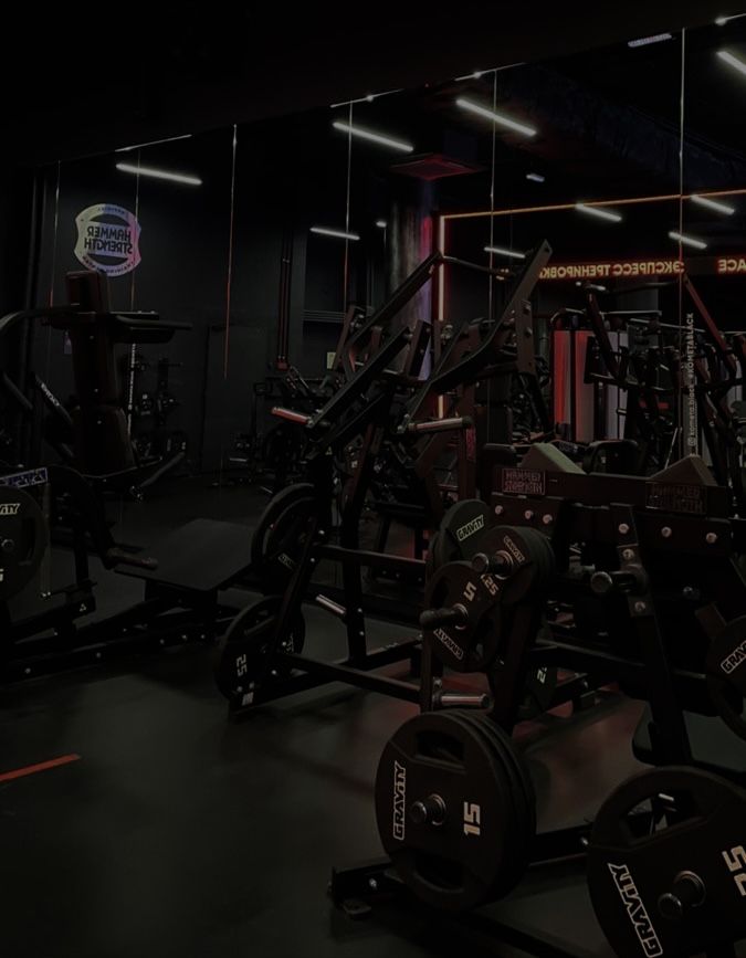 the gym is equipped with equipment for strength training