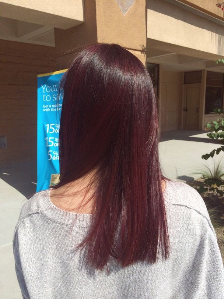 burgundy on asian hair <3 Pelo Color Vino, Brunette Hair Color Ideas, Brown Ombre Hair Color, Wine Hair, Brown Ombre Hair, Red Hair Inspo, Cherry Hair, Hair Color Burgundy, Dark Red Hair