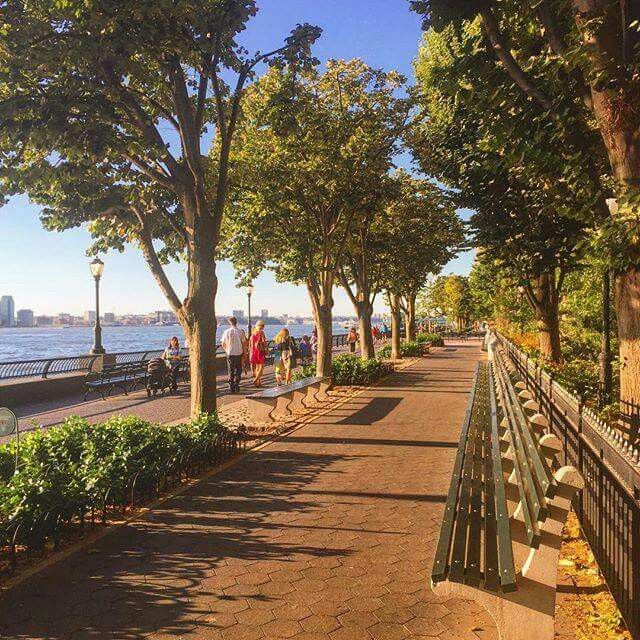 people are walking down the sidewalk by the water and trees on either side of the walkway