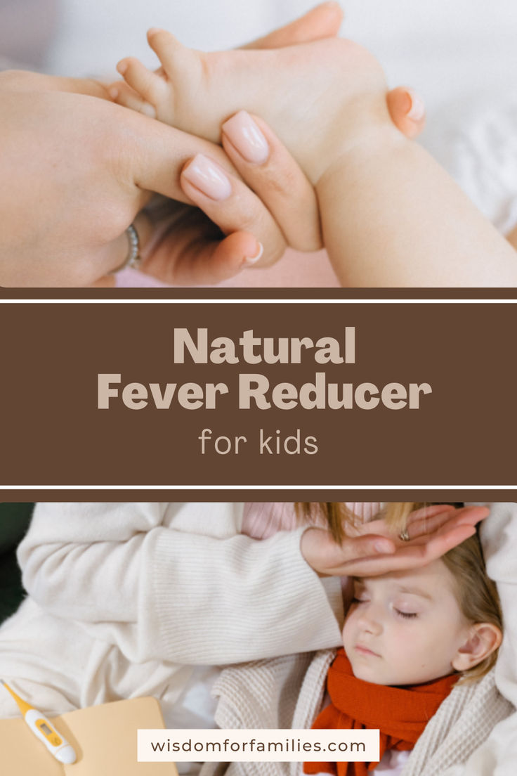 natural fever reducer for kids Reduce Fever In Kids, Natural Fever Reducer For Kids, Reduce Fever In Toddlers, Fever Reducer For Kids, Natural Fever Reducer, Baby Fever Remedies, Child Fever, Toddler Fever, Temperature Chart