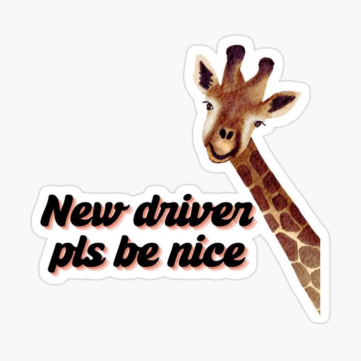 Get my art printed on awesome products. Support me at Redbubble #RBandME: https://www.redbubble.com/i/sticker/New-driver-please-be-nice-funny-meme-funny-quote-sad-hamester-cute-girl-driving-by-Shoroukshopxx/159442120.EJUG5?asc=u New Driver Quotes Funny, New Driver Quotes, Driver Quotes Funny, Driver Quotes, Girl Driving, Girls Driving, Money Pit, New Driver, New Drivers